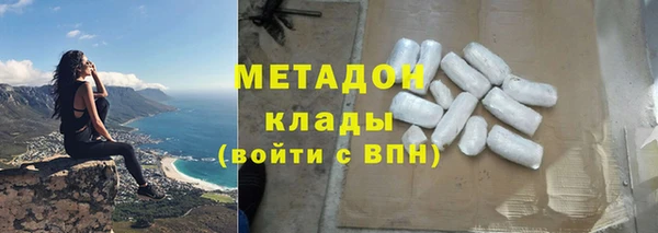 сатива Козловка