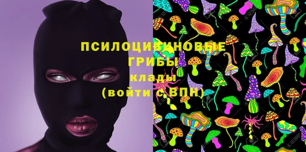 а пвп мука Абаза