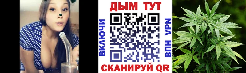 Канабис сатива наркота Киселёвск